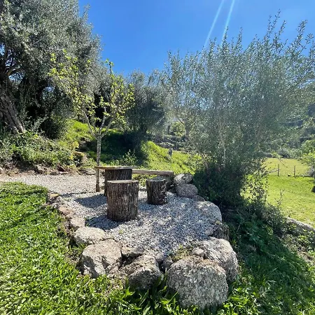 Casa Botica - Gerês *
